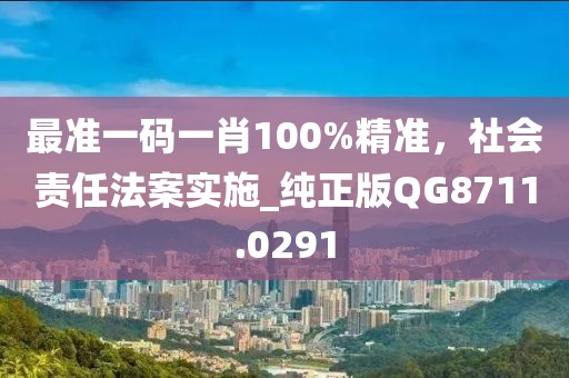 最準(zhǔn)一碼一肖100%精準(zhǔn)，社會責(zé)任法案實(shí)施_純正版QG8711.0291
