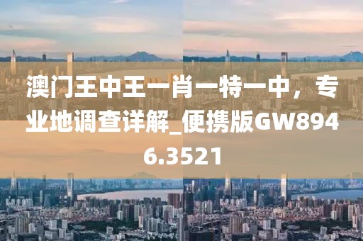 澳門王中王一肖一特一中，專業(yè)地調(diào)查詳解_便攜版GW8946.3521