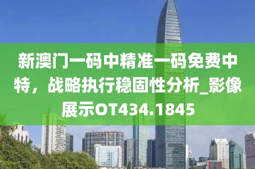 新澳門(mén)一碼中精準(zhǔn)一碼免費(fèi)中特，戰(zhàn)略執(zhí)行穩(wěn)固性分析_影像展示OT434.1845