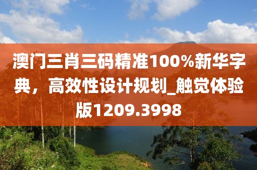 澳門三肖三碼精準(zhǔn)100%新華字典，高效性設(shè)計(jì)規(guī)劃_觸覺(jué)體驗(yàn)版1209.3998