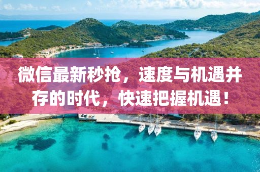 微信最新秒搶?zhuān)俣扰c機(jī)遇并存的時(shí)代，快速把握機(jī)遇！