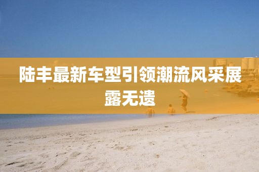 陸豐最新車型引領(lǐng)潮流風(fēng)采展露無遺