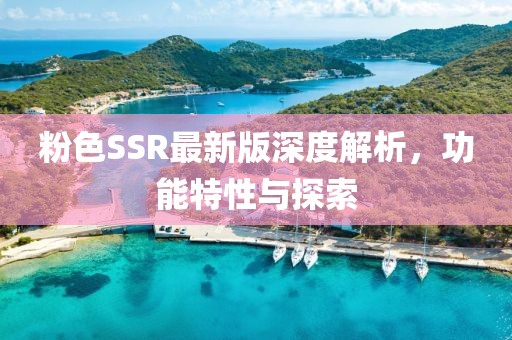 粉色SSR最新版深度解析，功能特性與探索