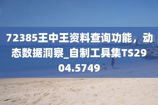 72385王中王資料查詢功能，動態(tài)數(shù)據(jù)洞察_自制工具集TS2904.5749