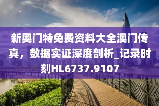 新奧門特免費資料大全澳門傳真，數(shù)據(jù)實證深度剖析_記錄時刻HL6737.9107