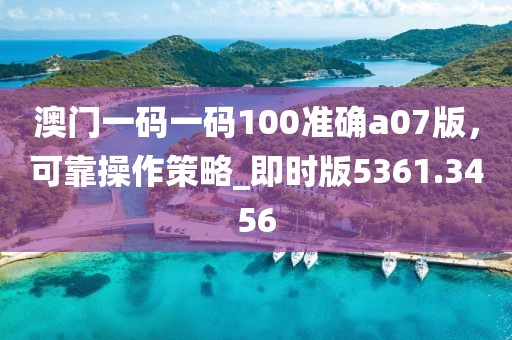 澳門一碼一碼100準確a07版，可靠操作策略_即時版5361.3456