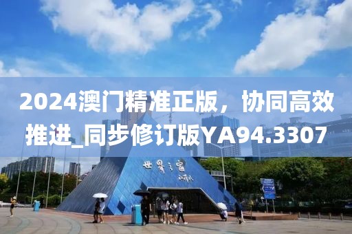 2024澳門精準正版，協(xié)同高效推進_同步修訂版YA94.3307
