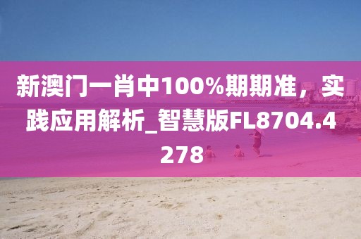 新澳門一肖中100%期期準(zhǔn)，實(shí)踐應(yīng)用解析_智慧版FL8704.4278