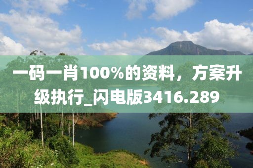 一碼一肖100%的資料，方案升級(jí)執(zhí)行_閃電版3416.289