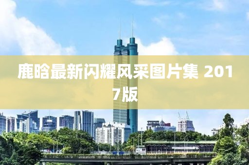 鹿晗最新閃耀風(fēng)采圖片集 2017版