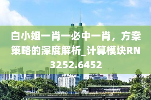 白小姐一肖一必中一肖，方案策略的深度解析_計算模塊RN3252.6452