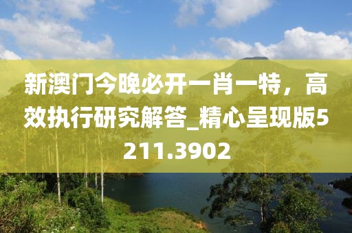 新澳門今晚必開一肖一特，高效執(zhí)行研究解答_精心呈現(xiàn)版5211.3902