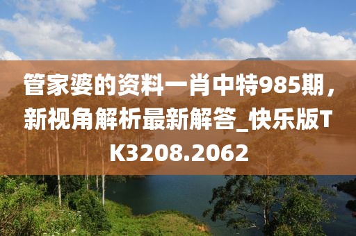 管家婆的資料一肖中特985期，新視角解析最新解答_快樂版TK3208.2062