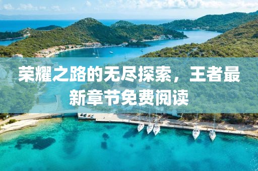 榮耀之路的無盡探索，王者最新章節(jié)免費閱讀