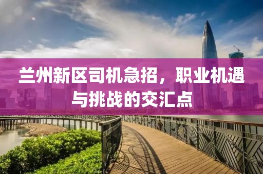 蘭州新區(qū)司機急招，職業(yè)機遇與挑戰(zhàn)的交匯點