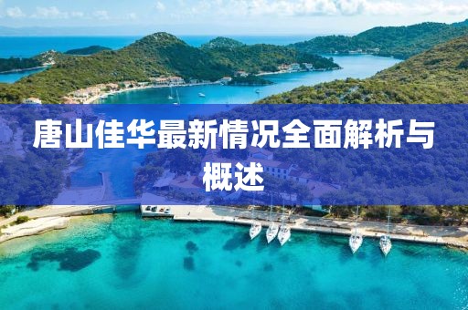 唐山佳華最新情況全面解析與概述