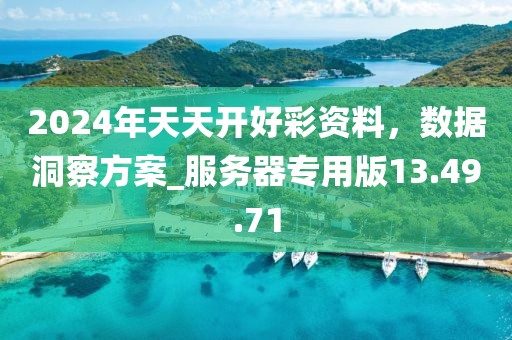 2024年天天開好彩資料，數(shù)據(jù)洞察方案_服務器專用版13.49.71