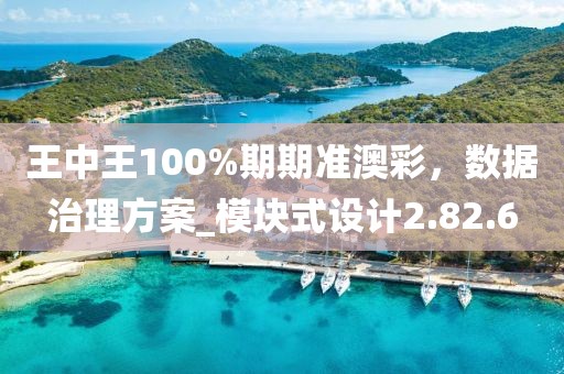 王中王100%期期準(zhǔn)澳彩，數(shù)據(jù)治理方案_模塊式設(shè)計(jì)2.82.6