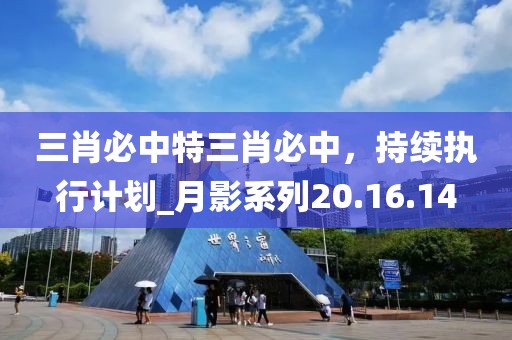 三肖必中特三肖必中，持續(xù)執(zhí)行計(jì)劃_月影系列20.16.14