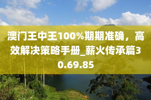 澳門王中王100%期期準確，高效解決策略手冊_薪火傳承篇30.69.85