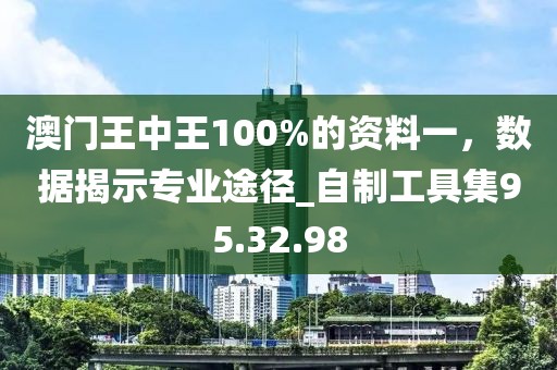 澳門王中王100%的資料一，數(shù)據(jù)揭示專業(yè)途徑_自制工具集95.32.98