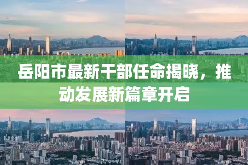 岳陽市最新干部任命揭曉，推動發(fā)展新篇章開啟