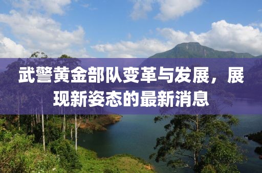 武警黃金部隊(duì)變革與發(fā)展，展現(xiàn)新姿態(tài)的最新消息