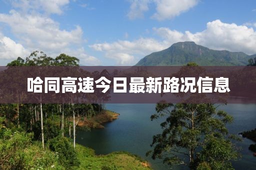 哈同高速今日最新路況信息