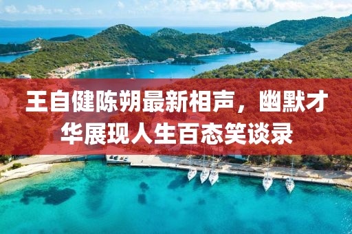 王自健陳朔最新相聲，幽默才華展現(xiàn)人生百態(tài)笑談錄