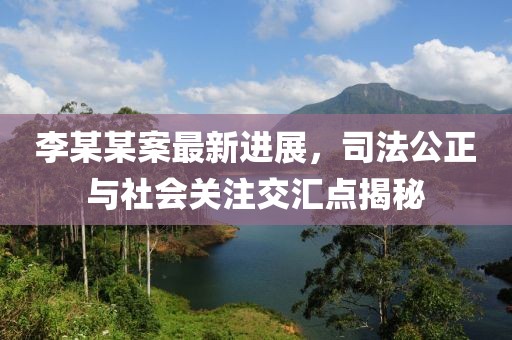 李某某案最新進展，司法公正與社會關注交匯點揭秘