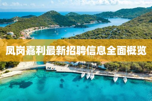 鳳崗嘉利最新招聘信息全面概覽