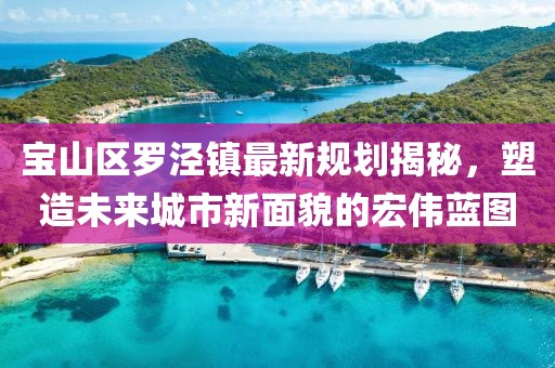 寶山區(qū)羅涇鎮(zhèn)最新規(guī)劃揭秘，塑造未來城市新面貌的宏偉藍(lán)圖
