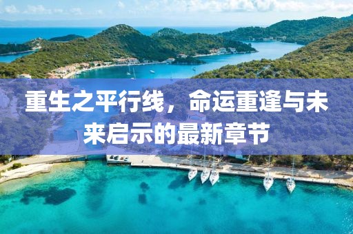 重生之平行線，命運(yùn)重逢與未來啟示的最新章節(jié)