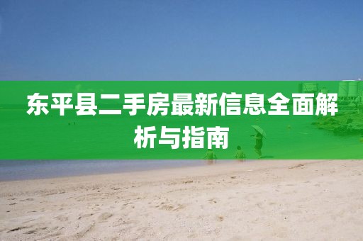 東平縣二手房最新信息全面解析與指南