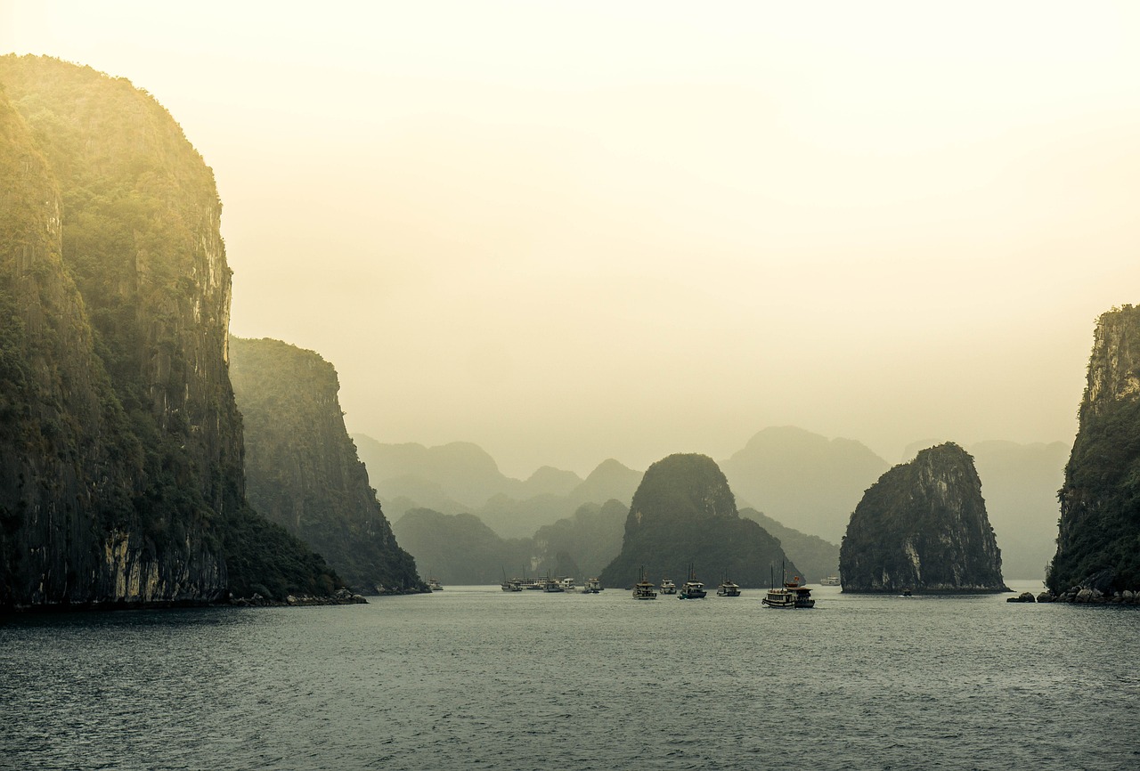 AVY最新動態(tài)，潮流前沿的創(chuàng)新引領(lǐng)