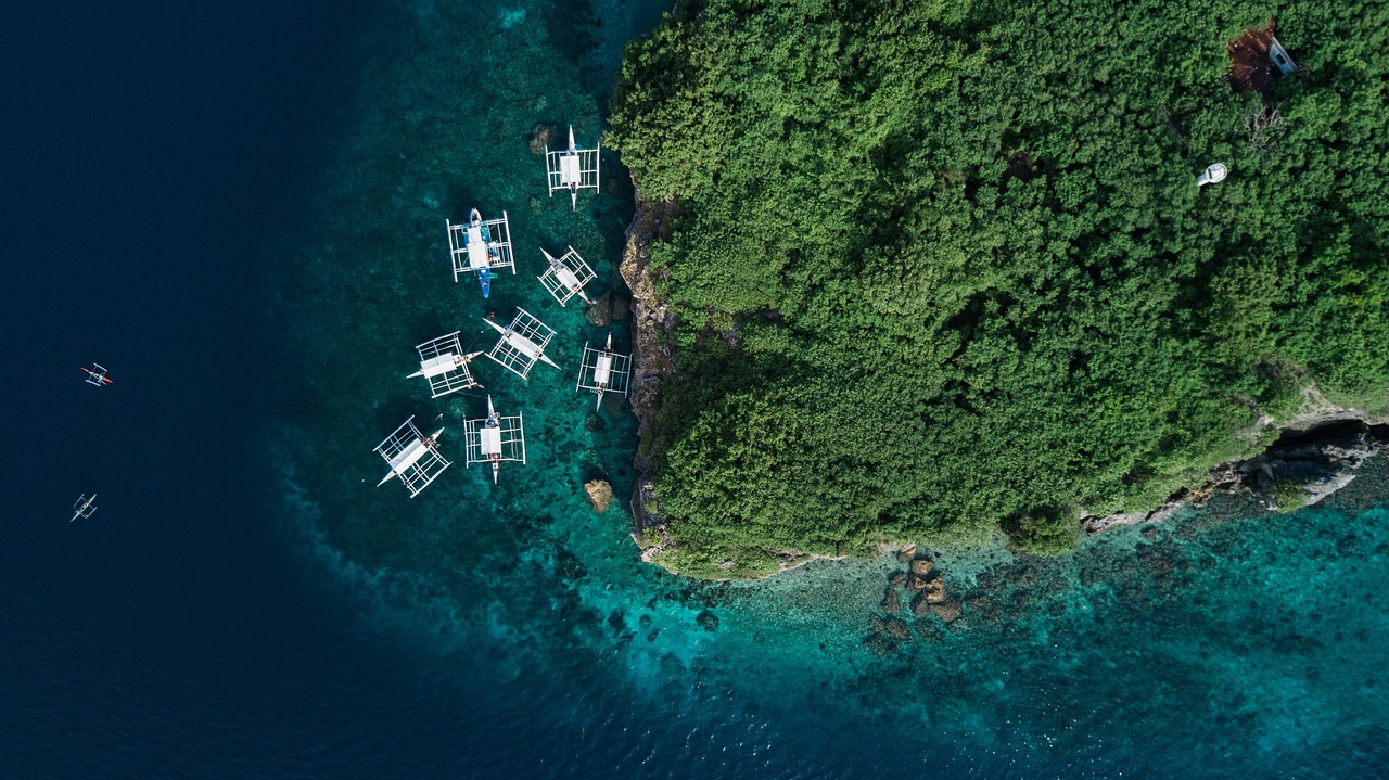 探索與樂趣的海洋之旅，鉤魚最新視頻揭秘！