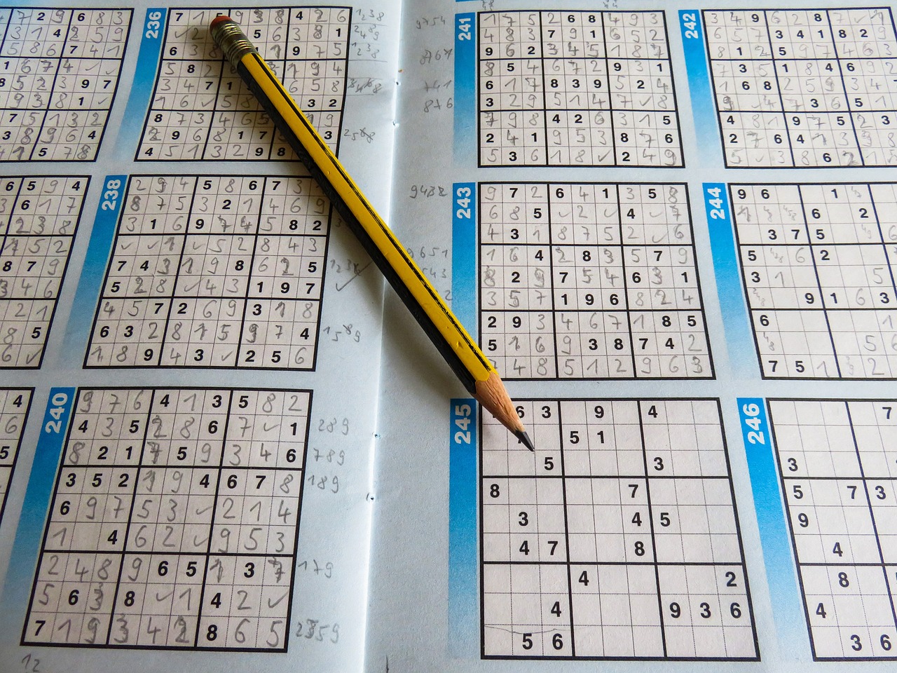 2024正版資料免費(fèi)看，全身心解答具體_性能版ZM7497.4919