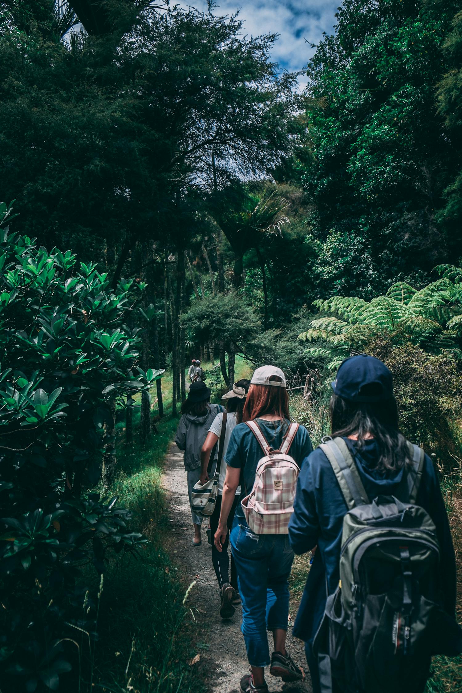 穿越迷霧的冒險(xiǎn)之旅，俺是一個(gè)賊最新章節(jié)