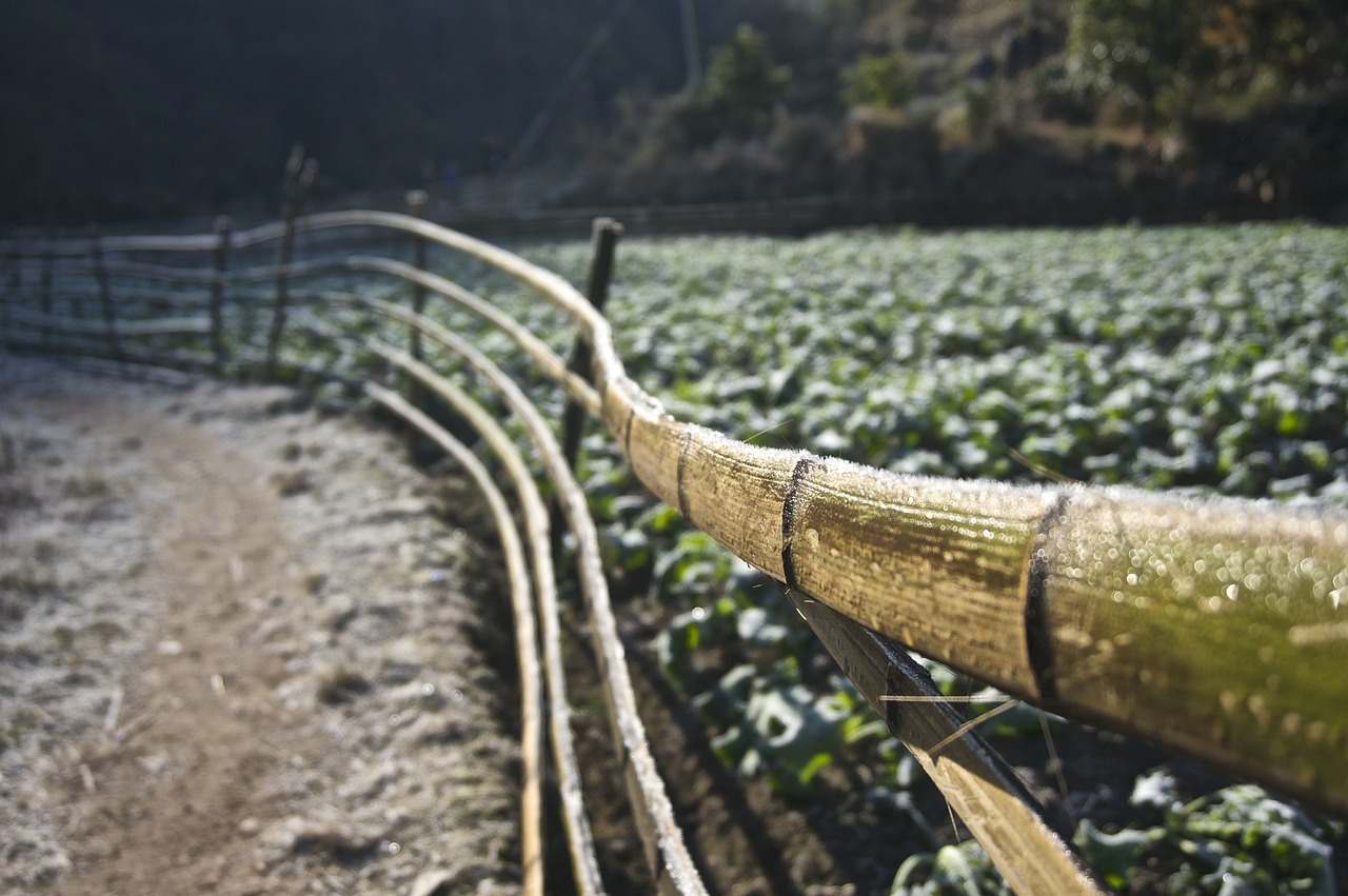 福特最新資訊概覽，掌握最新動(dòng)態(tài)與新聞