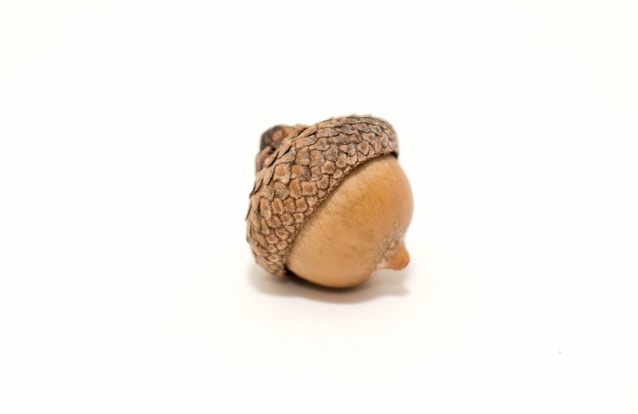 瑞和寶最新動(dòng)態(tài)與創(chuàng)新突破進(jìn)展