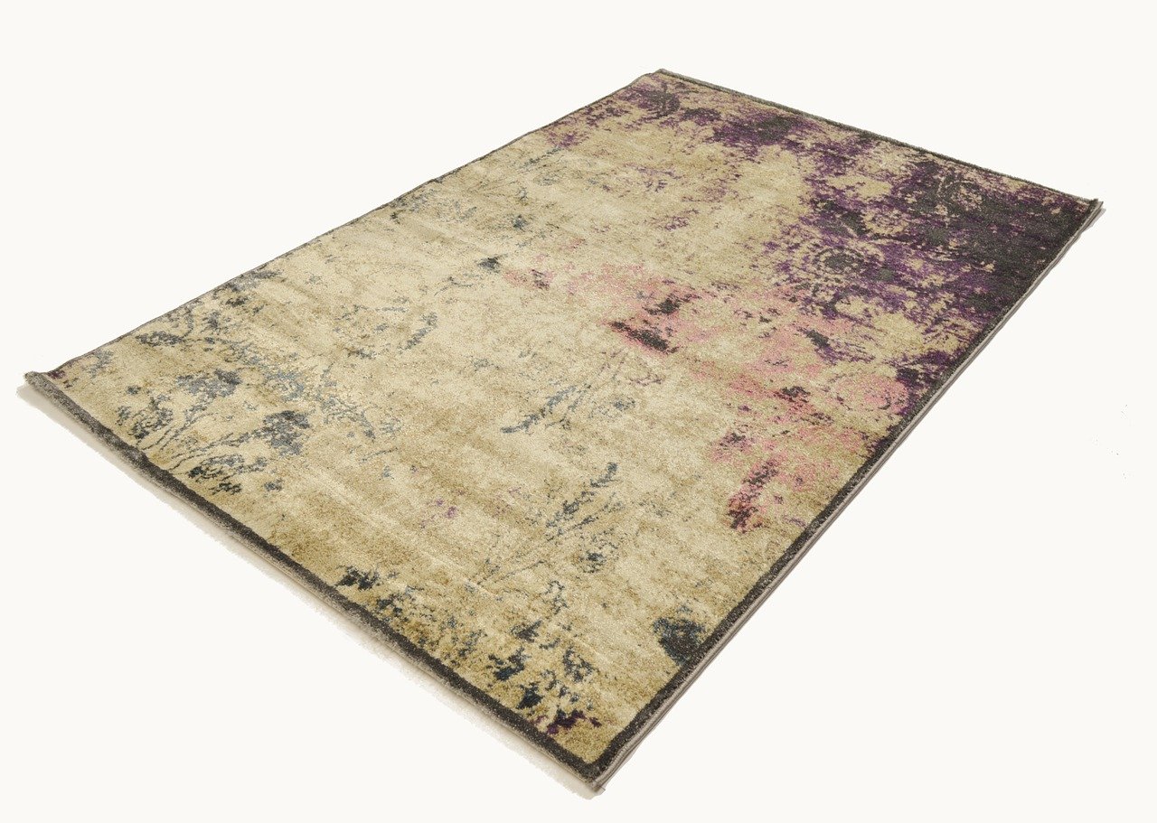 探索蘭花世界的最新動(dòng)態(tài)與發(fā)展趨勢(shì)，最新蘭花新聞報(bào)道